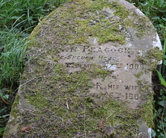 Peacock gravestone